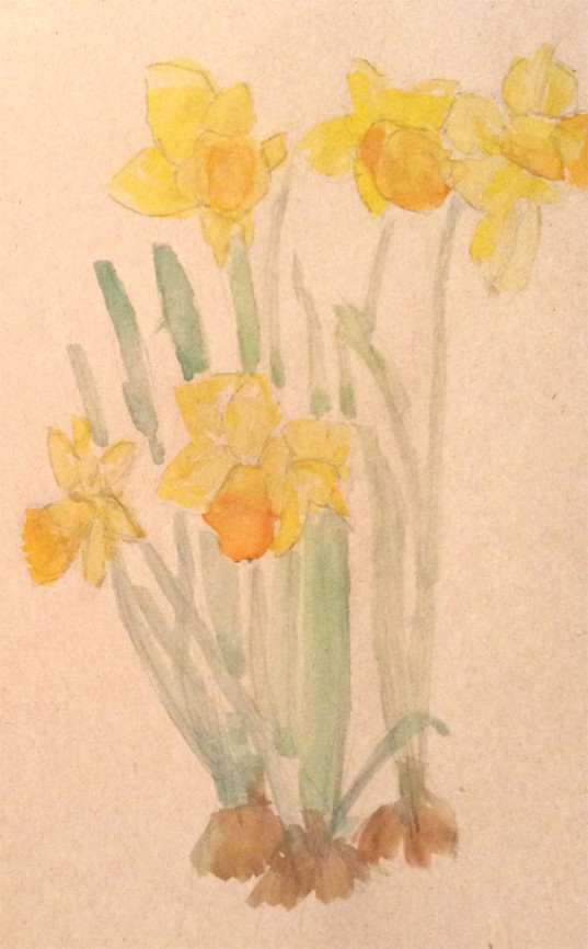 Daffs